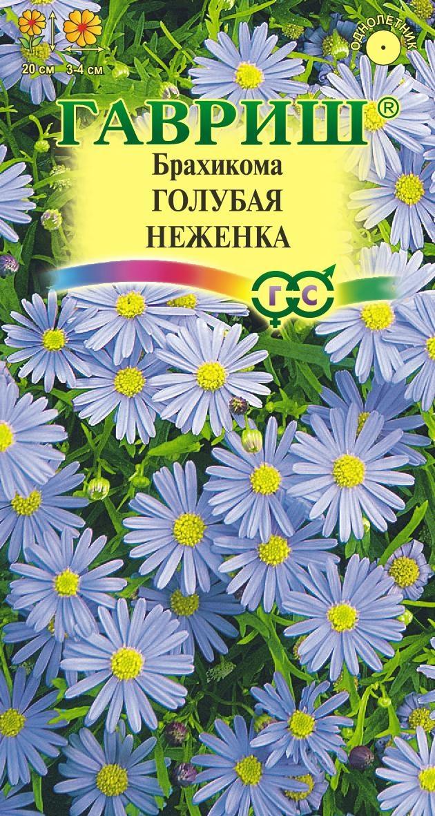 Семена Брахикома Голубая неженка  0,05гр Гавриш *10/200