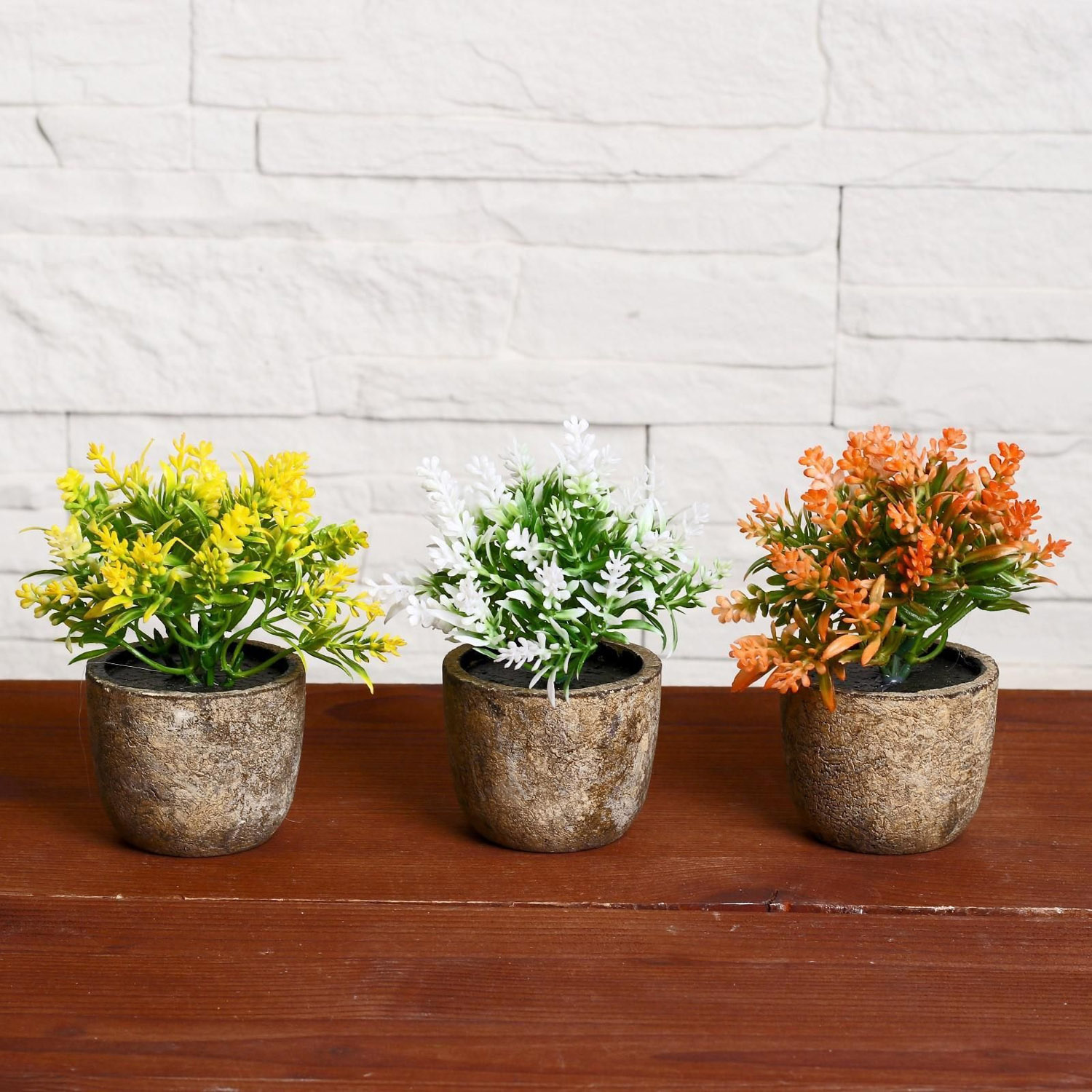 Бонсай "Седум" 6*10 см, микс   4293933 Бонсай "Седум" 6*10 см, микс   4293933