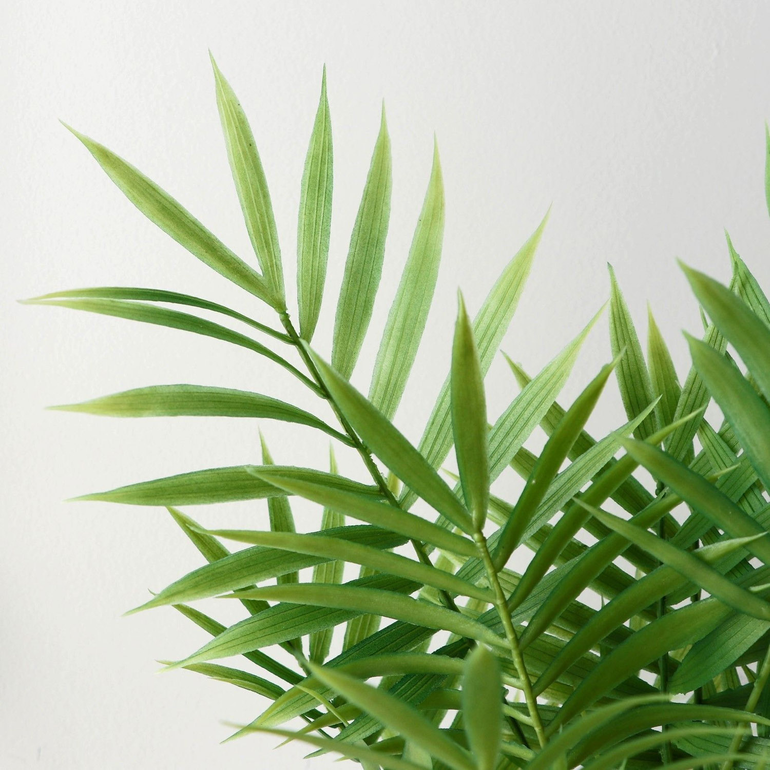 Бонсай в горшке "Хамедорея" 9х30 см   9750509