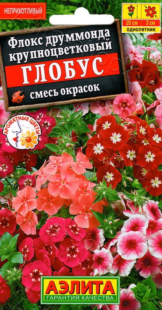 Семена Флокс Глобус смесь 0,1гр Аэлита цв *10/200