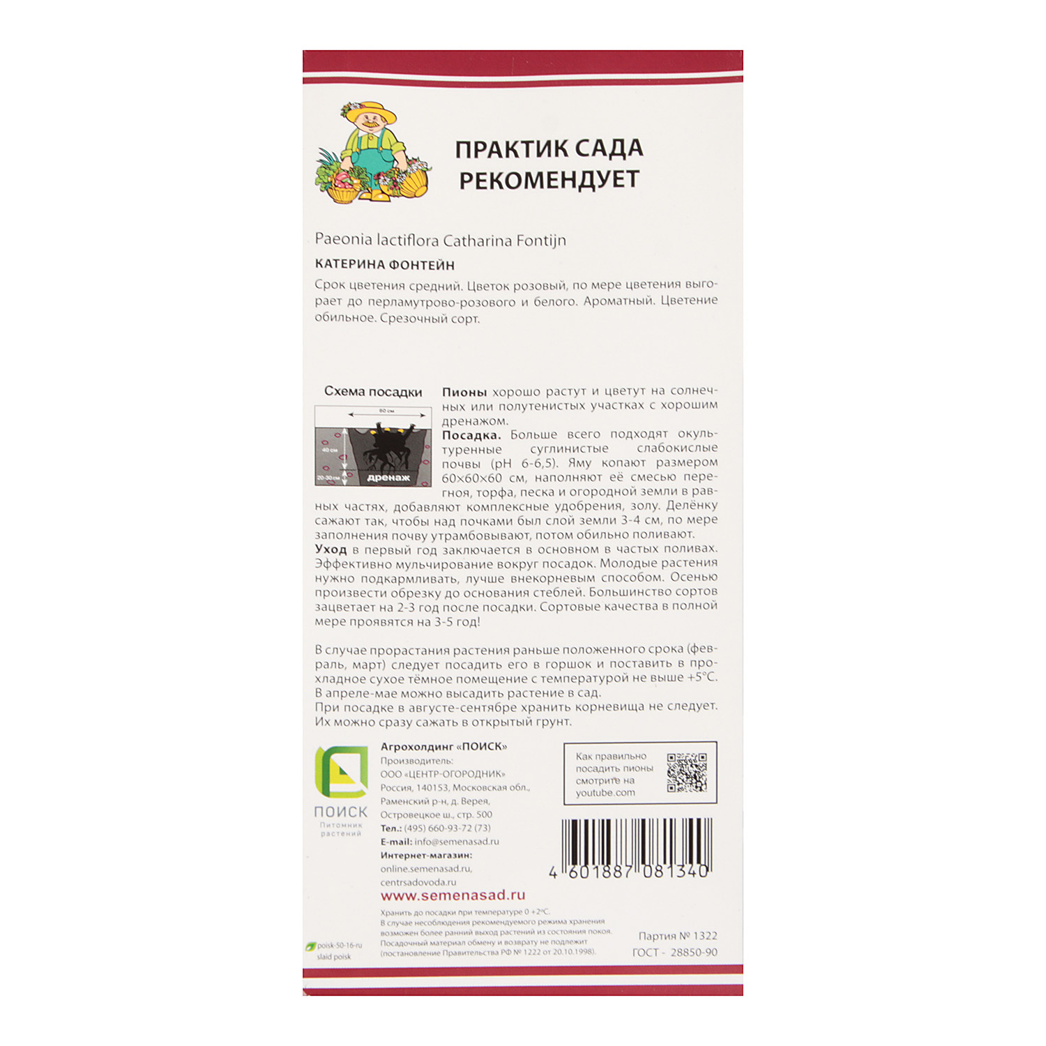 Пион молочноцветковый Катерина Фонтейн 1шт