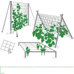 Сетка Садовая Шпалерная пласт. шир.2м дл.10м яч.150х170мм Хаки Ф-170/2/10 (Протэкт) *1/12