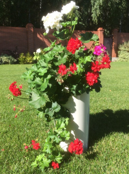 Кашпо пластм. "Le cone" высокое 18,5л(вст.10л),d верх.28мм,h450мм Кремов 1100-1 "Tek.A.Tek" *1