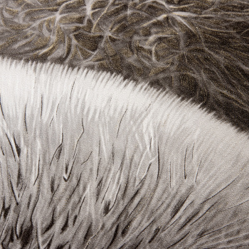 Обои  флиз "Антураж" Puff AN8889-16  10*1,06м *6