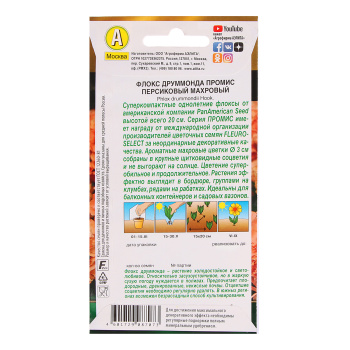 Флокс махр. Промис персиковый 10шт  10 Аэлита цв.