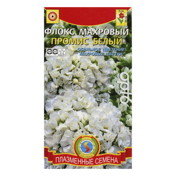 Семена Флокс махровый Промис Белый  5шт ПлазмаС *10