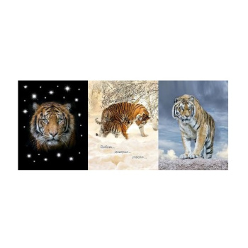 Полотенце рогожка 48*60 на хангере Раджа (ассорти) Touch *6/84