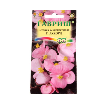 Бегония Аккорд F1 вечноцветущая гранулы  5шт10Гавриш