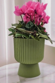 Кашпо пластм. "Бекер" 2,8л d верха 175мм h 195мм с поддоном Папоротник 5 0736 PL *1/8