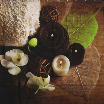 Штора для ванной "Фора" п/эстер 180*200см "SPA" с кольцами РН18 *1/24