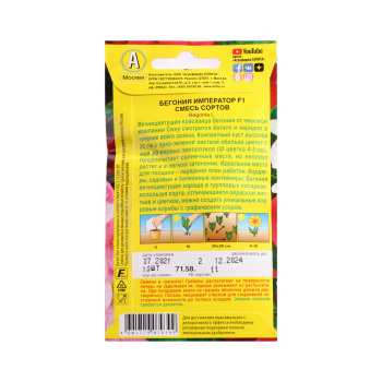 Бегония Император смесь F1 вечноцветущая 10шт   Аэлита *10